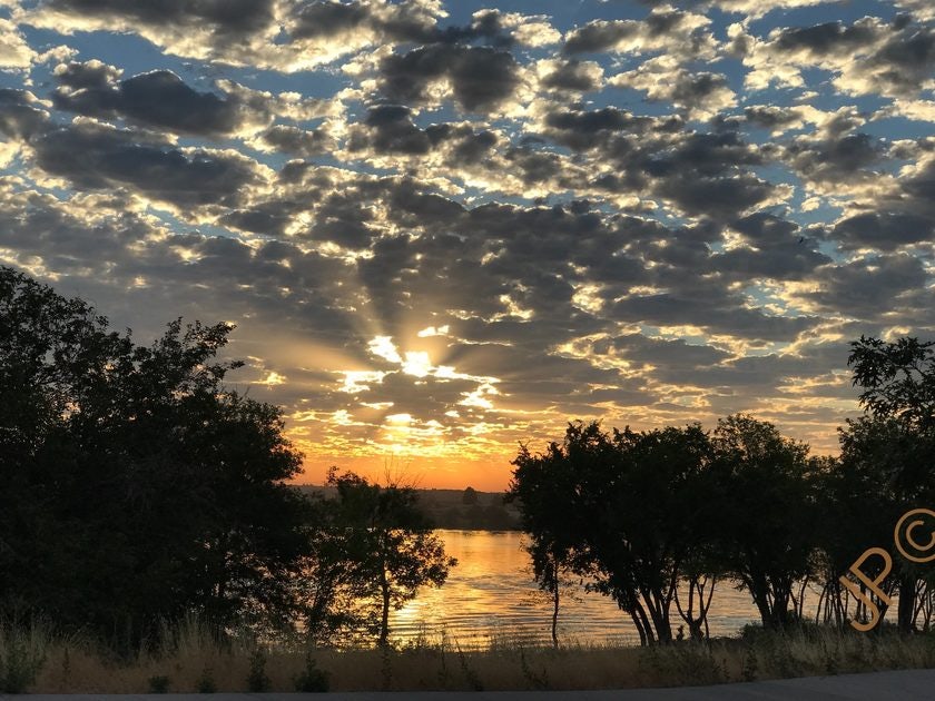 Click to View Larger