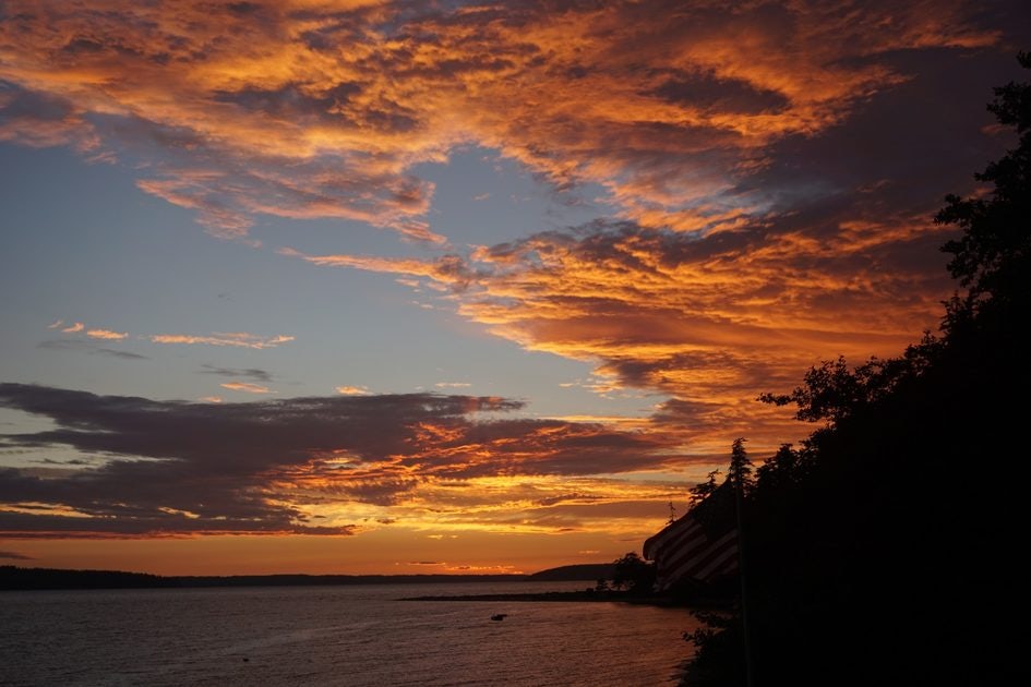 Click to View Larger