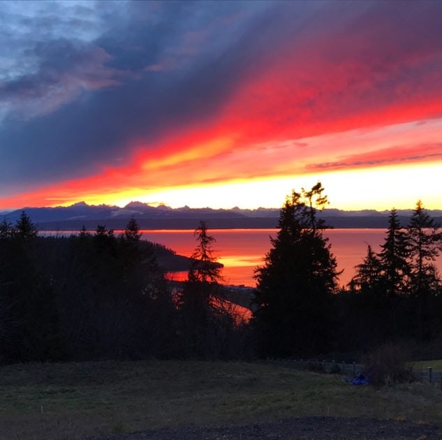 Click to View Larger