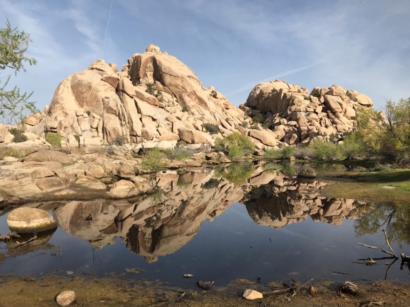 Click to View Larger