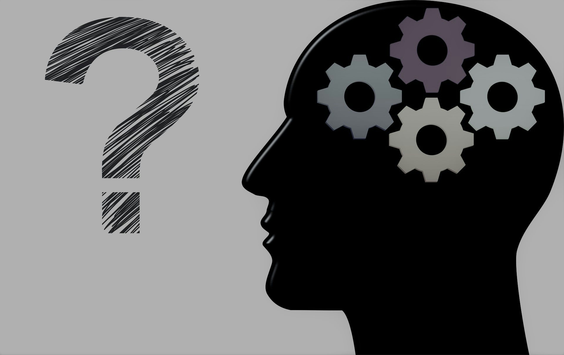 Click to View Larger