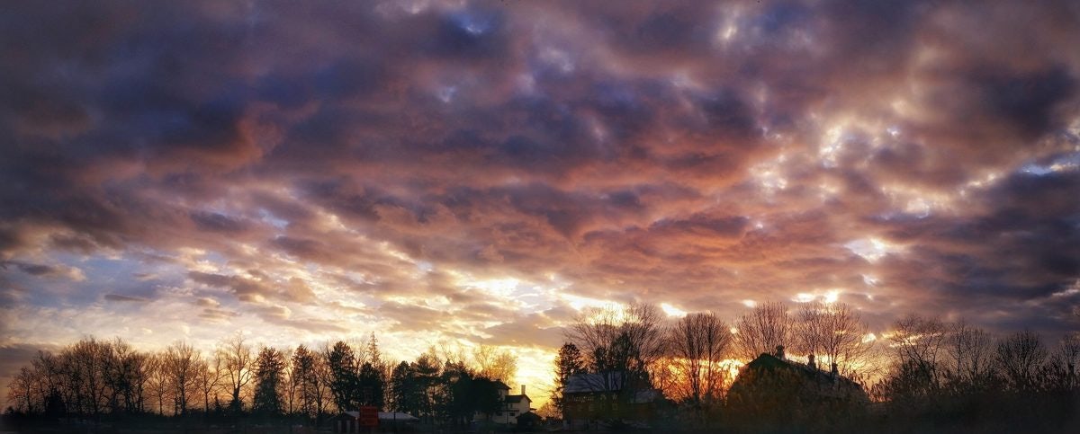 Click to View Larger