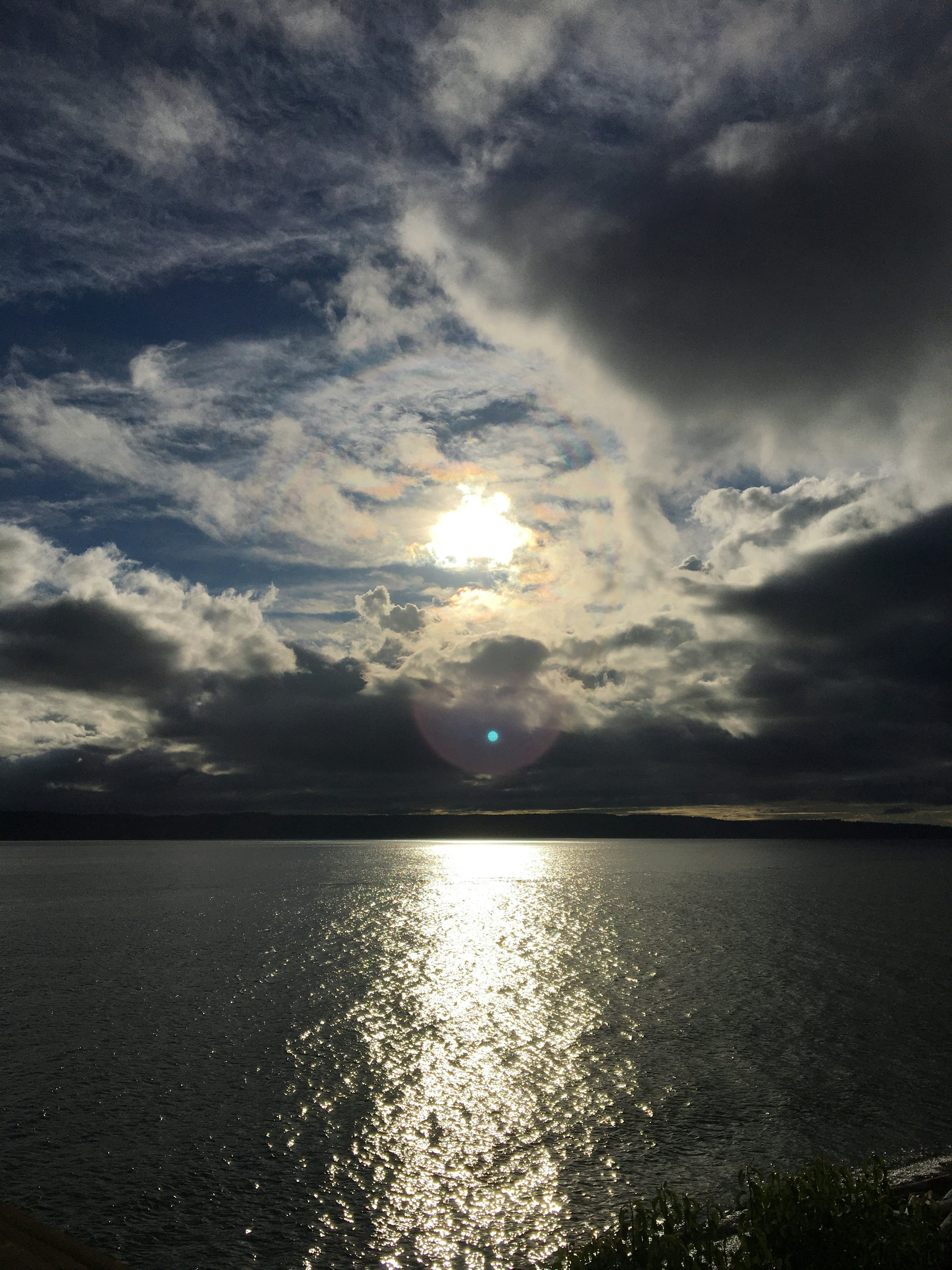 Click to View Larger