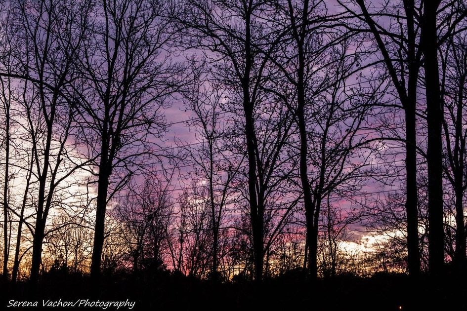 Click to View Larger