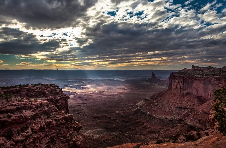 Click to View Larger