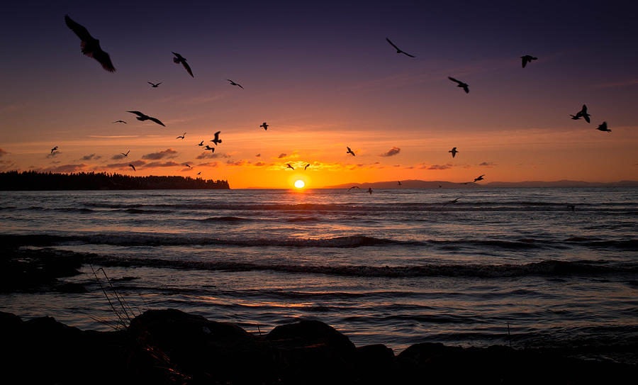 Click to View Larger