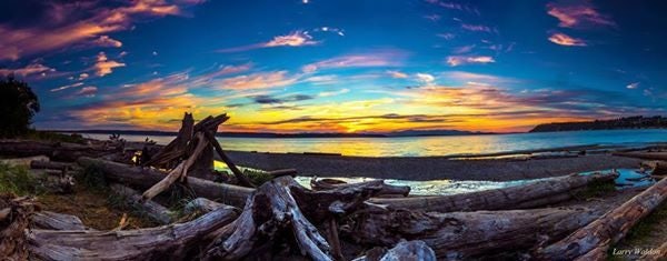 Click to View Larger