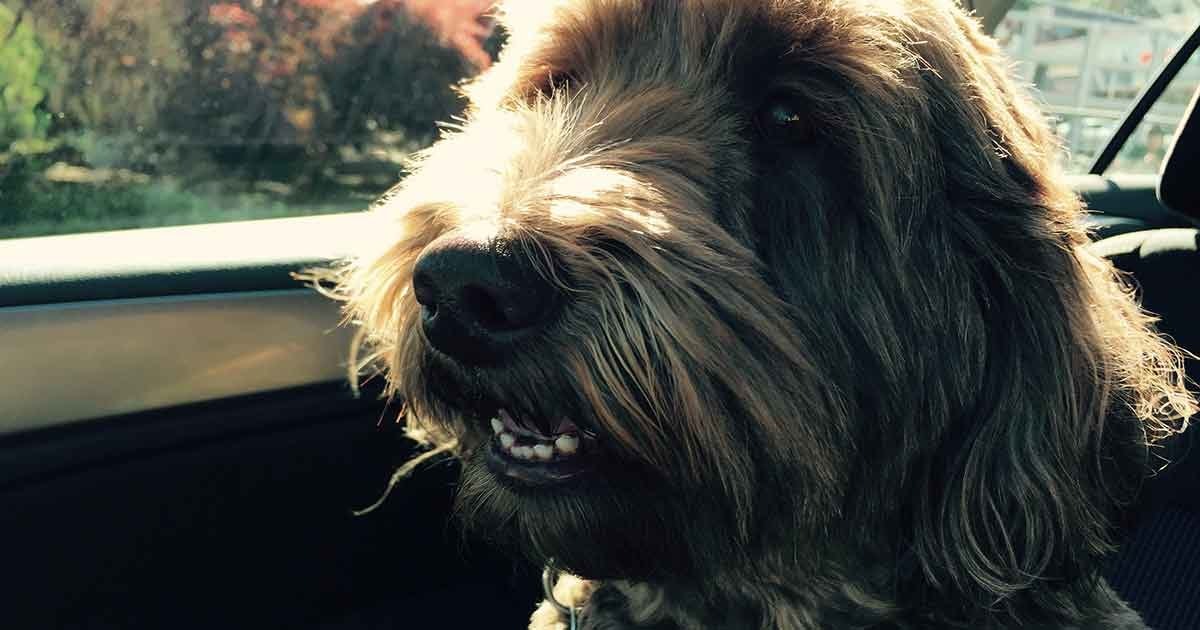 Click to View Larger