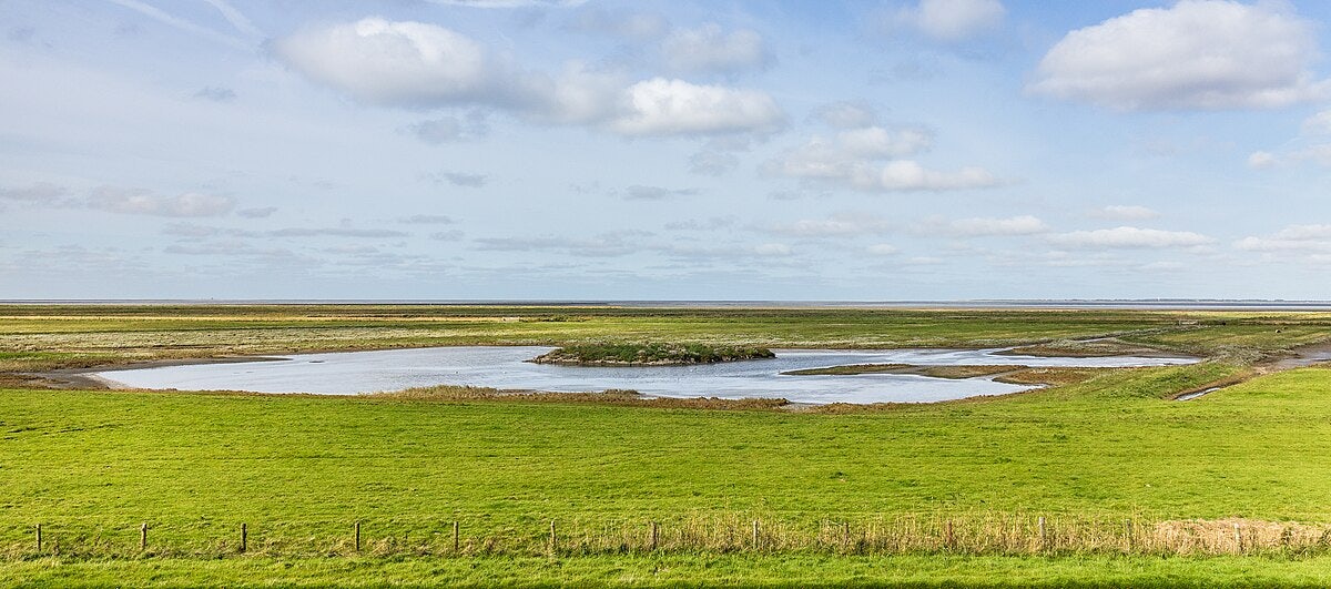 Click to View Larger