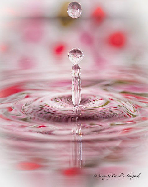 Click to View Larger