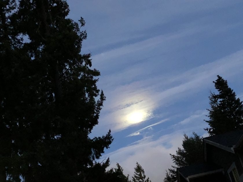 Click to View Larger