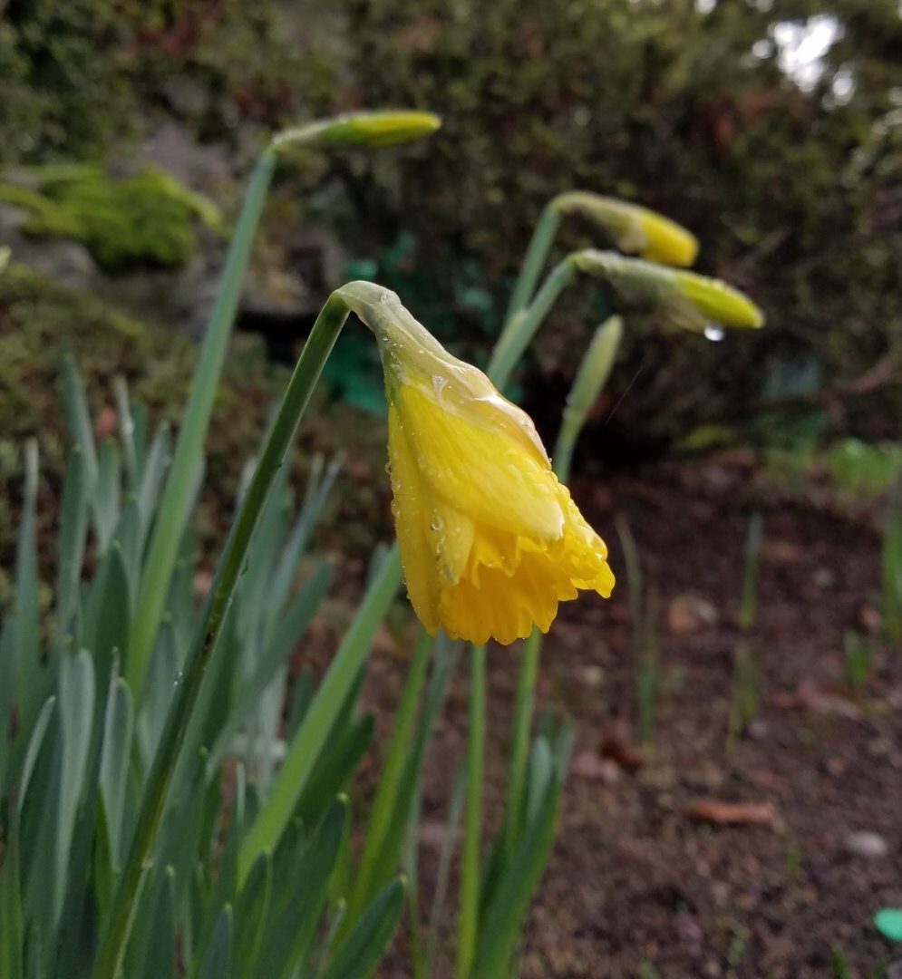 Click to View Larger