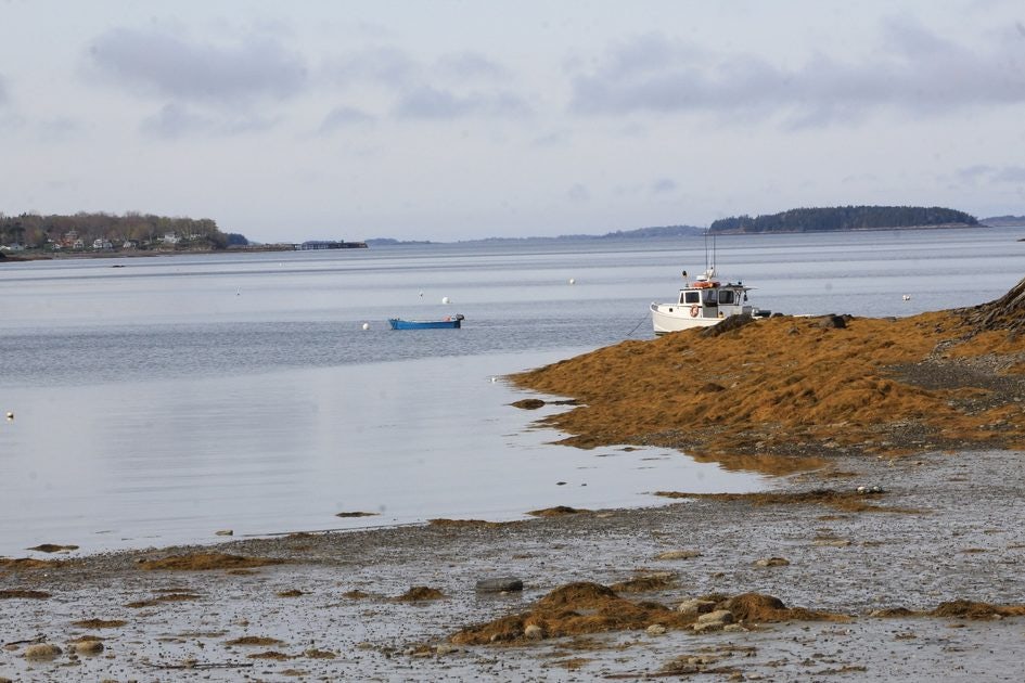 Click to View Larger