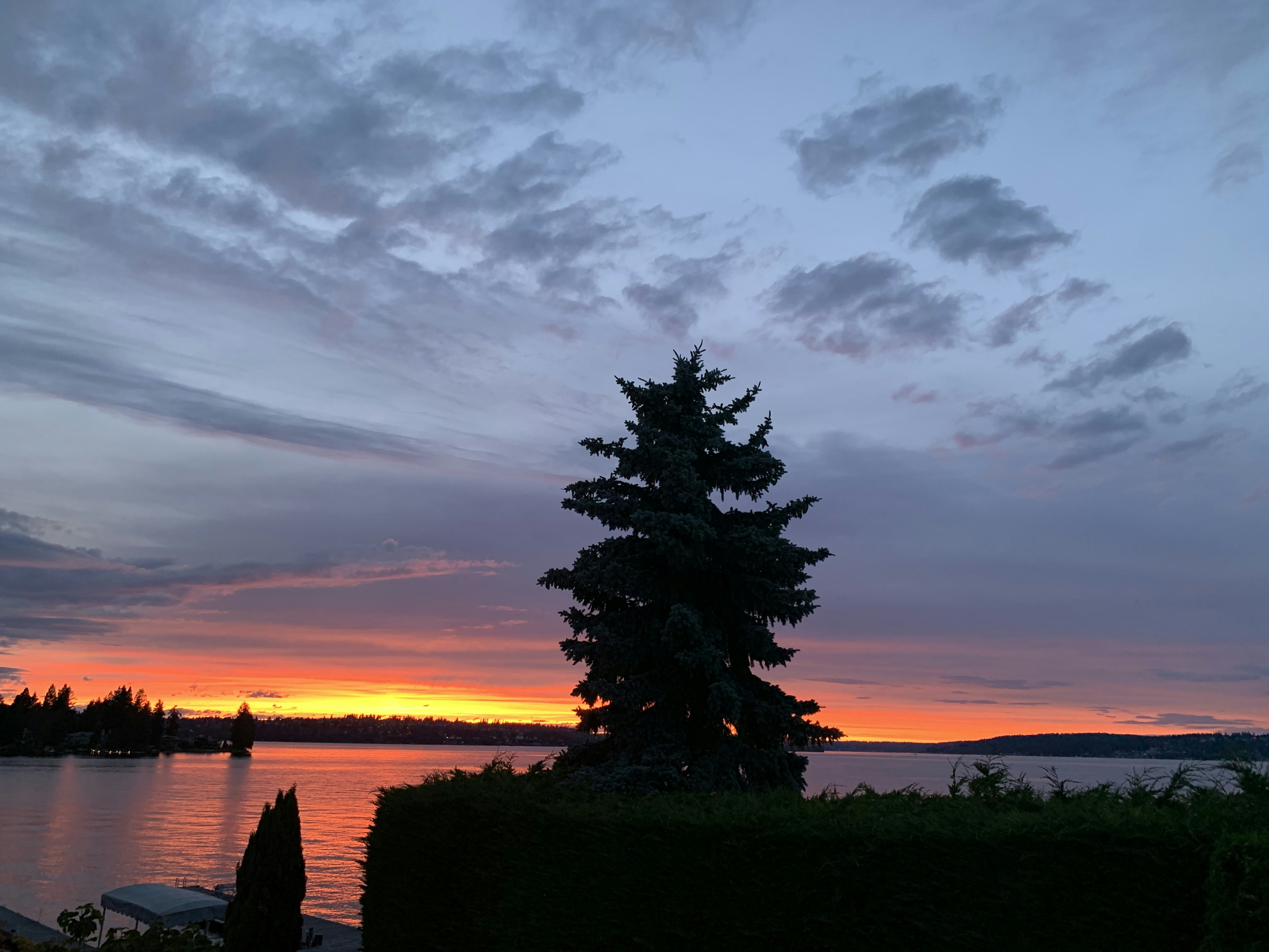 Click to View Larger