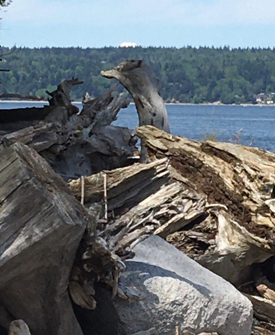 Click to View Larger