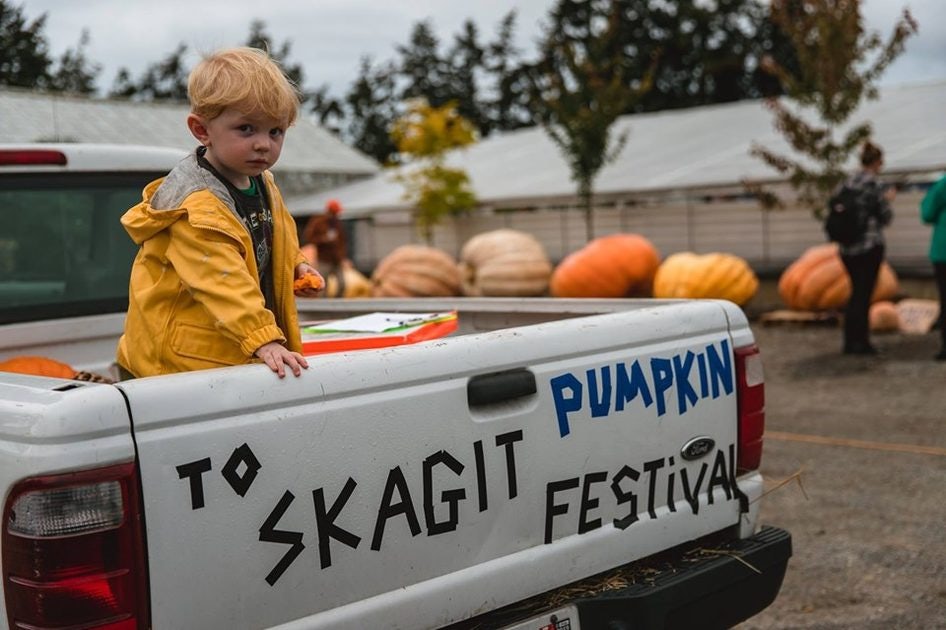 Click to View Larger