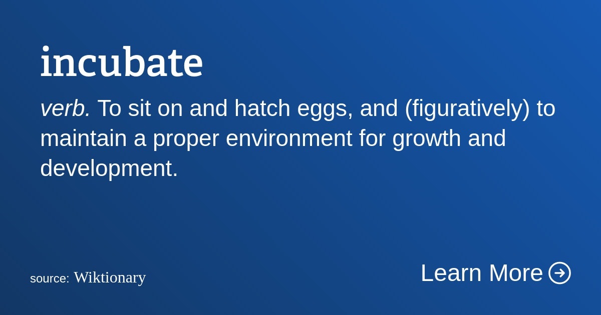 Click to View Larger