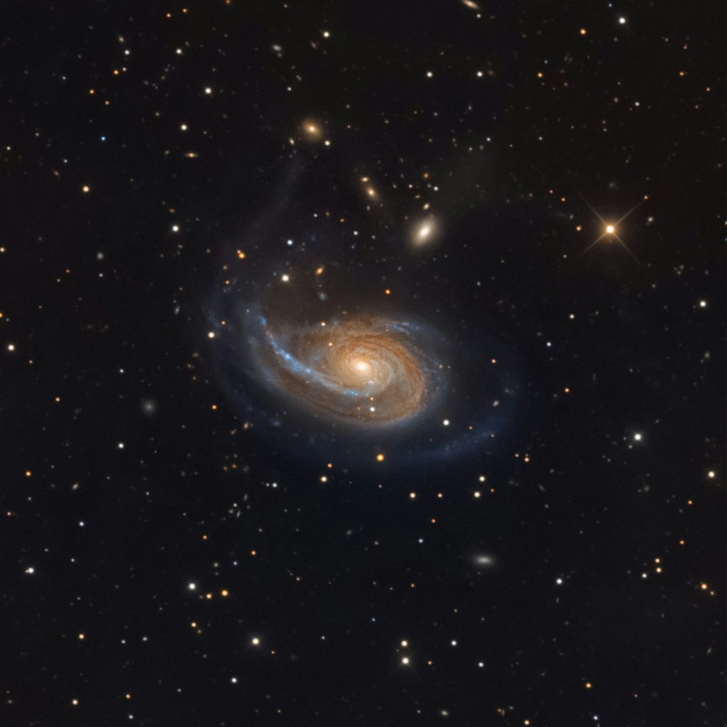 Click to View Larger