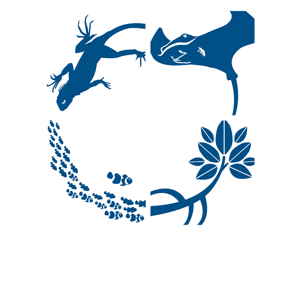 Click to View Larger