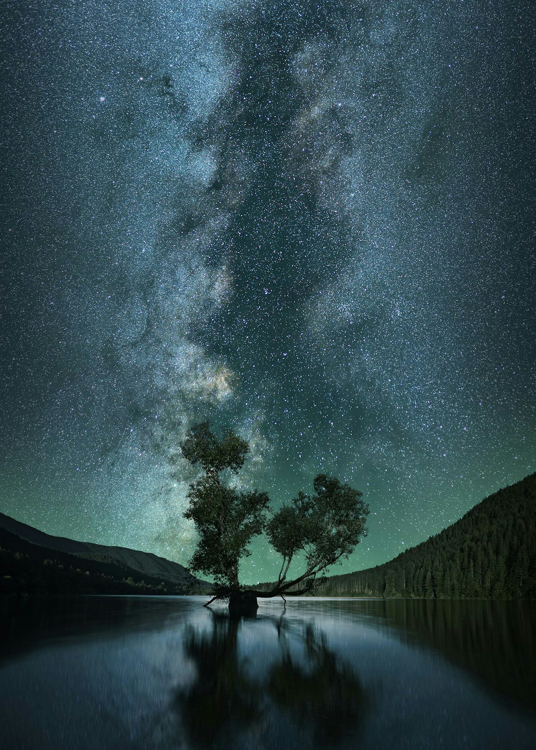 Click to View Larger