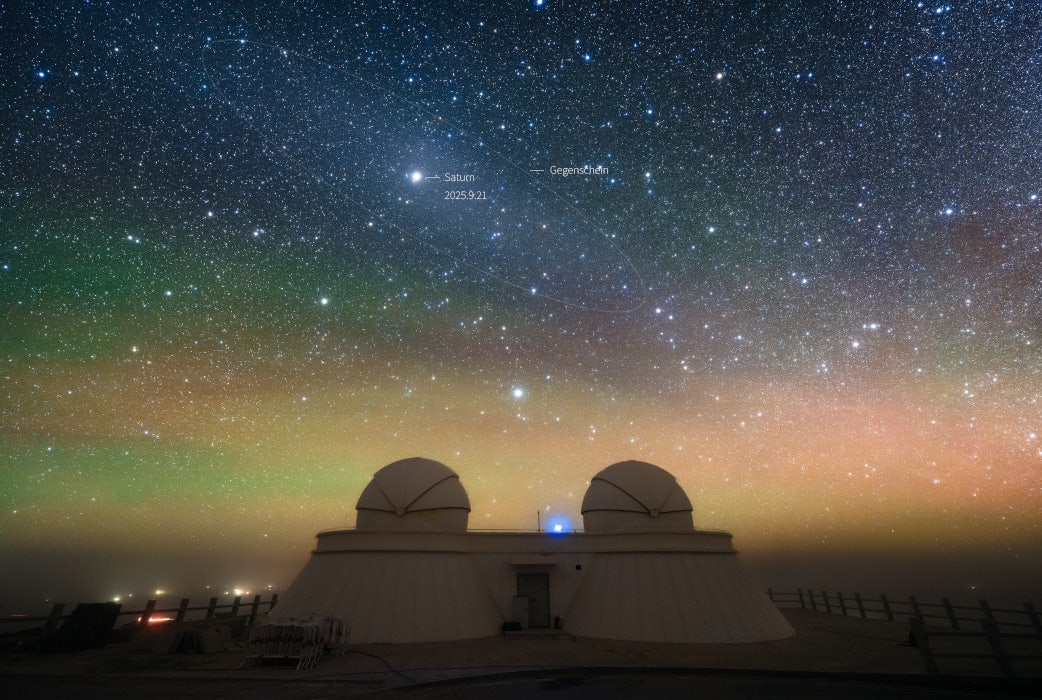 Click to View Larger