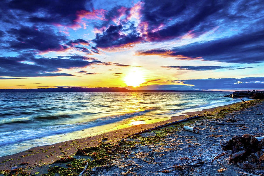 Click to View Larger