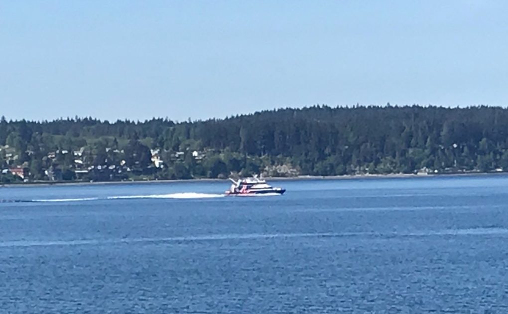 Click to View Larger