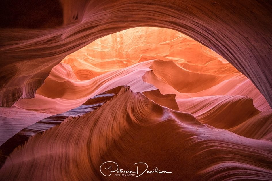 Click to View Larger