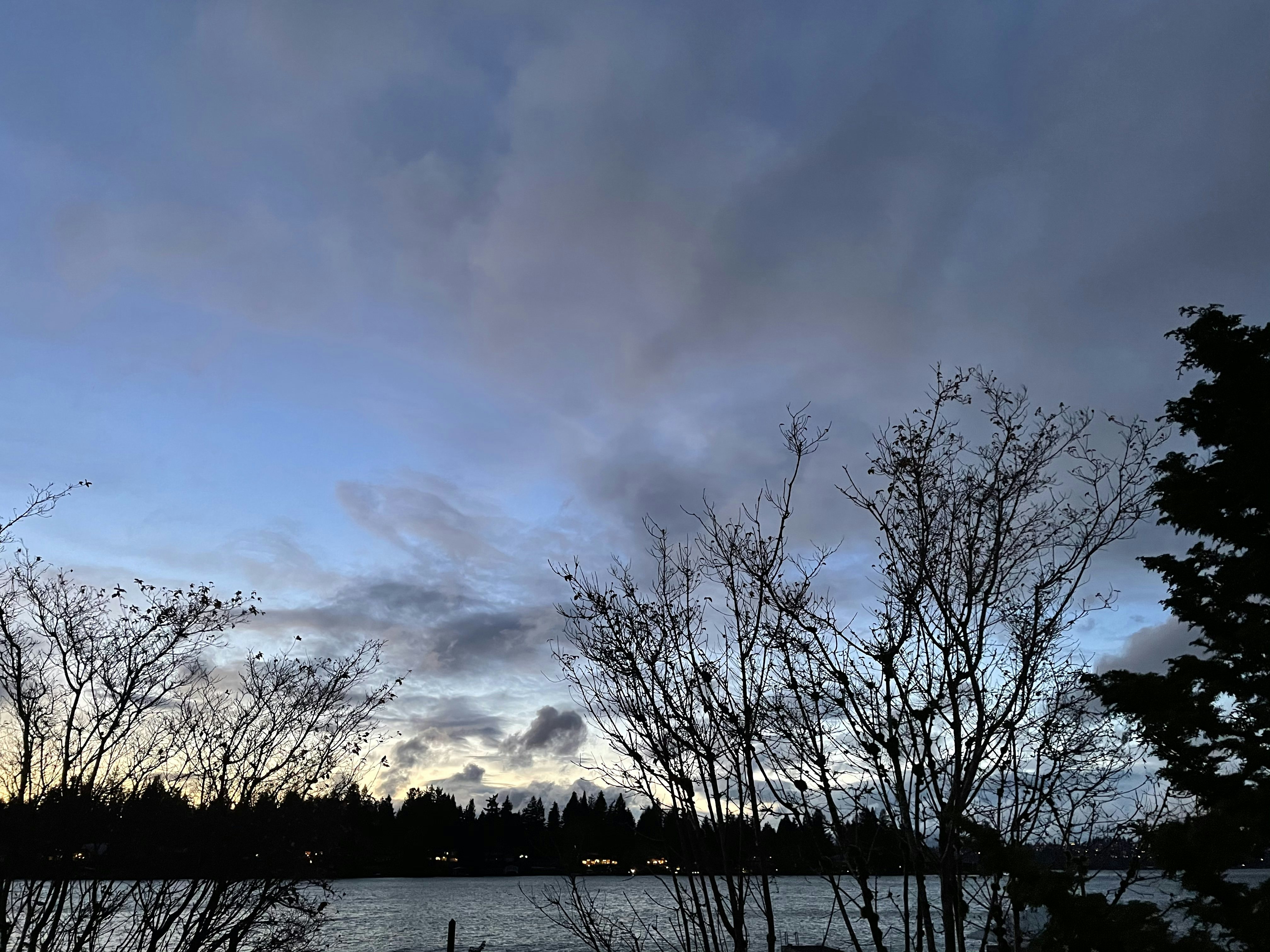 Click to View Larger