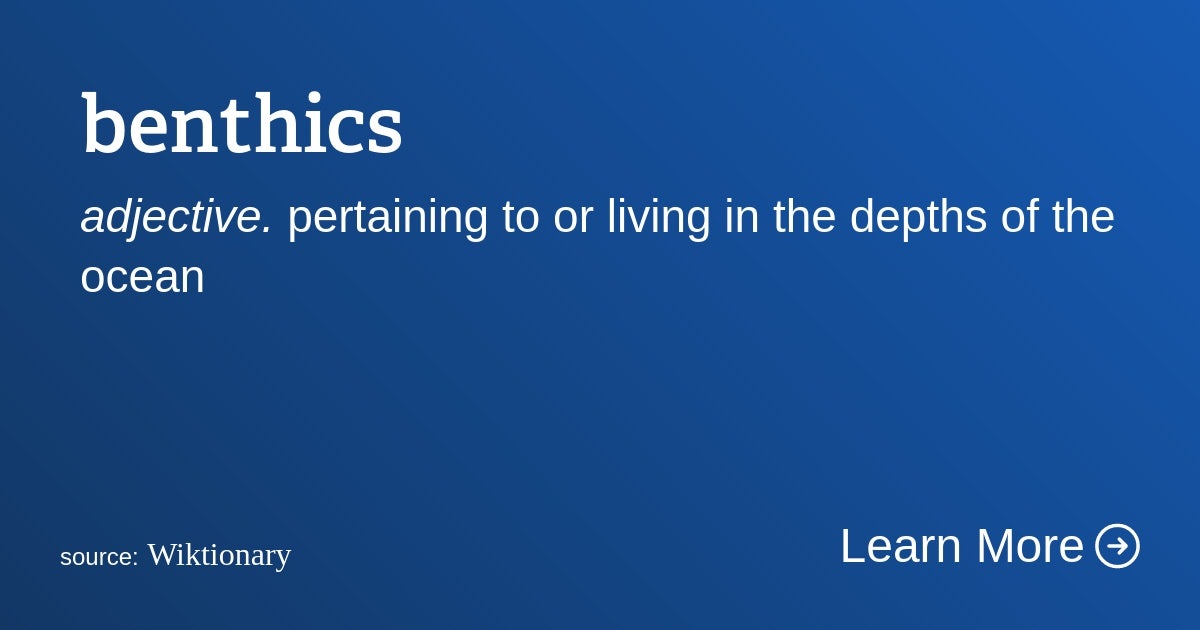 Click to View Larger