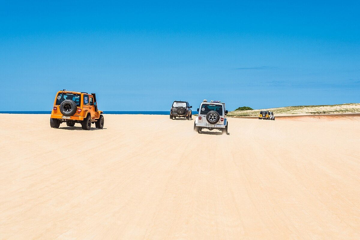 Click to View Larger