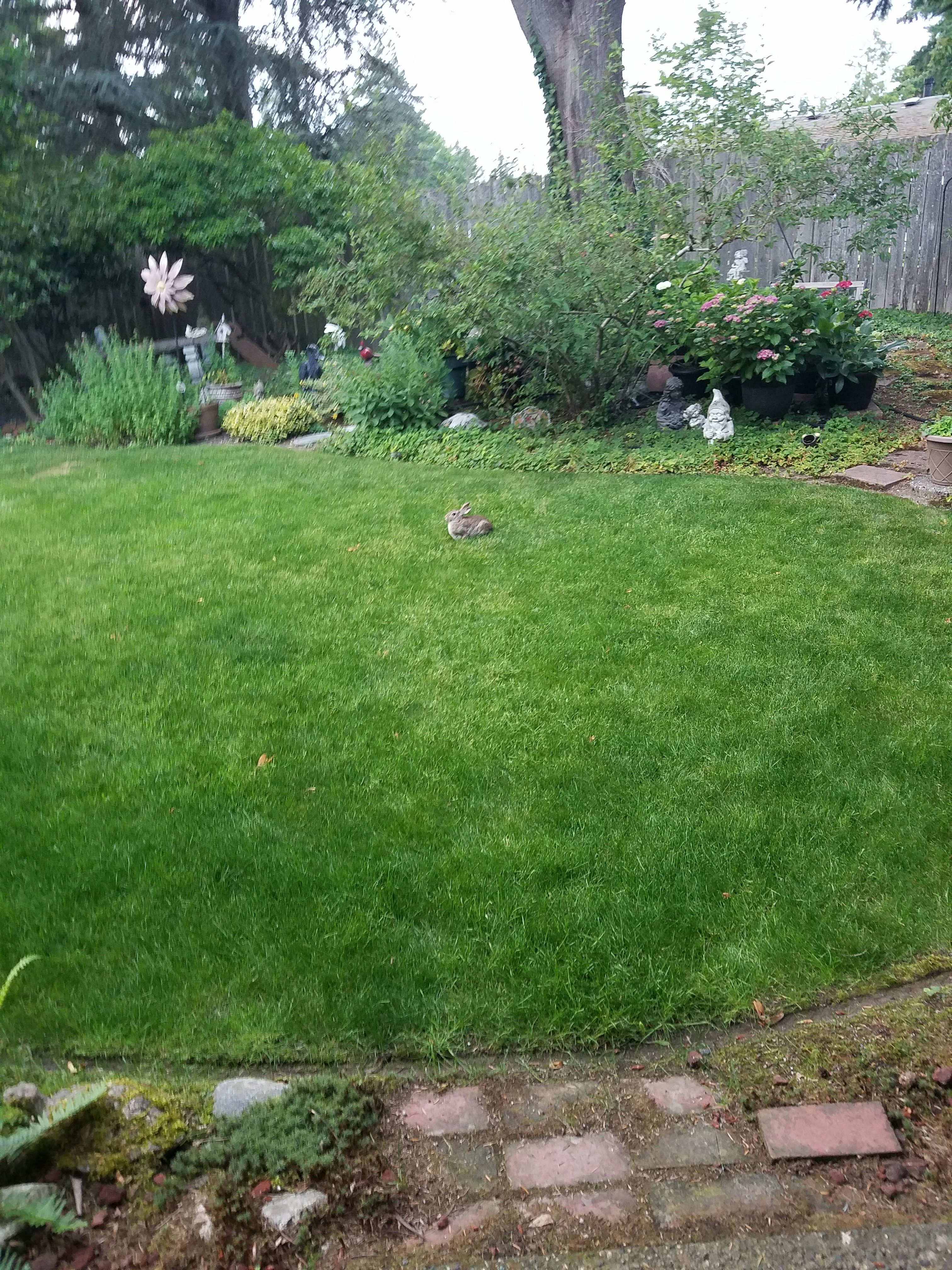 Click to View Larger