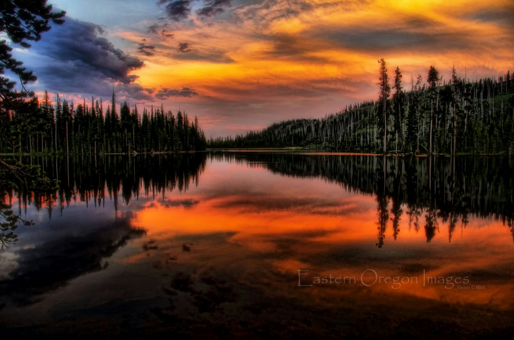 Click to View Larger