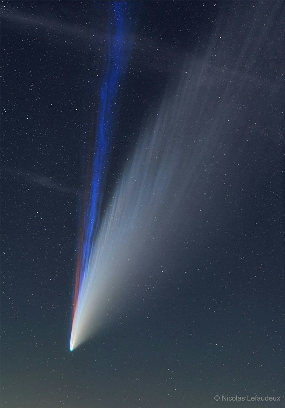 Click to View Larger