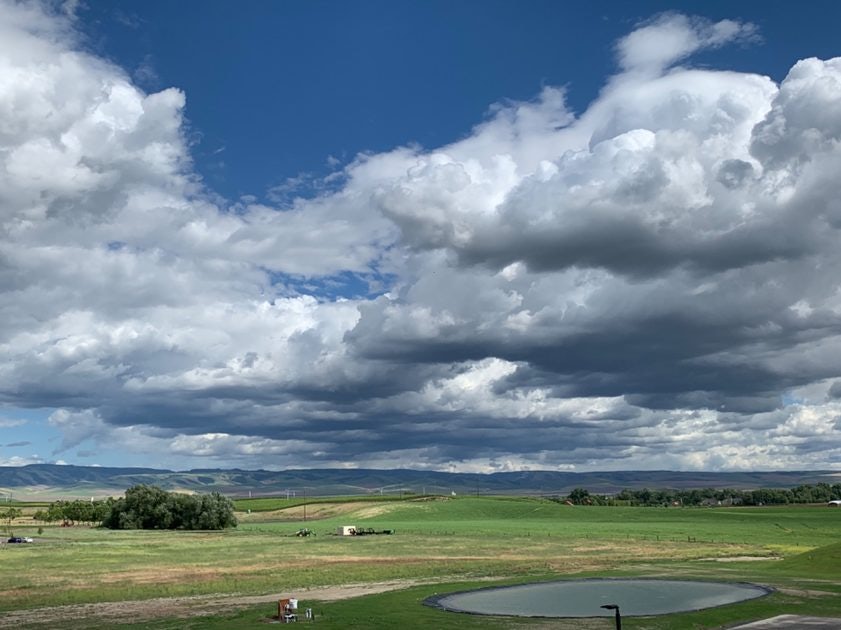 Click to View Larger