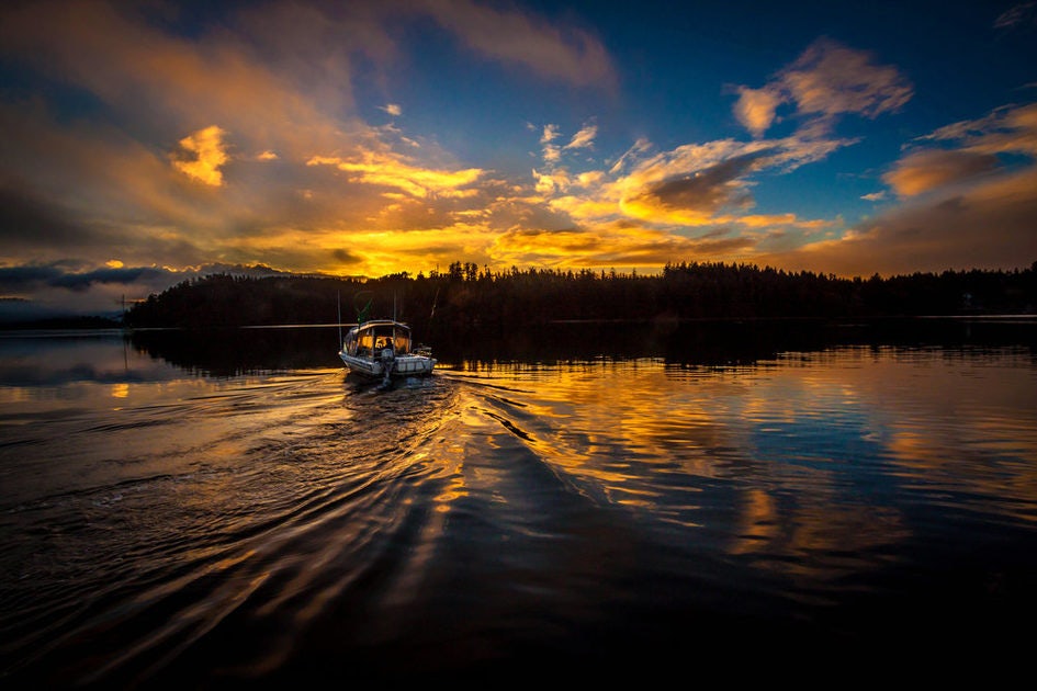 Click to View Larger