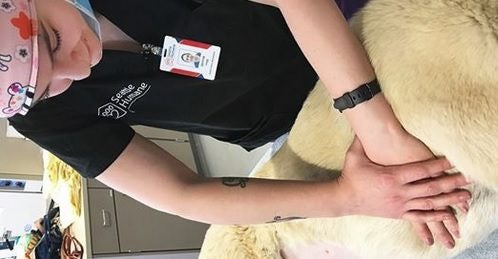 Click to View Larger