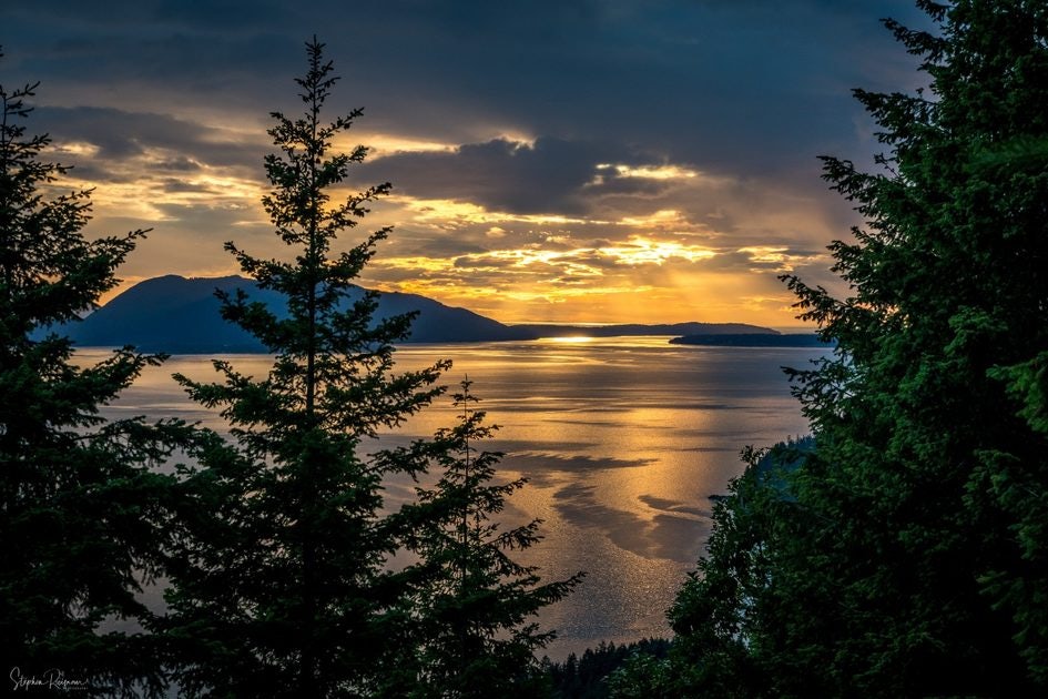 Click to View Larger