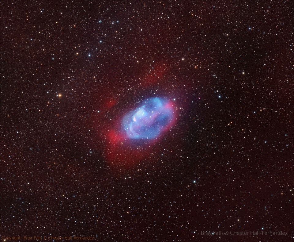 Click to View Larger