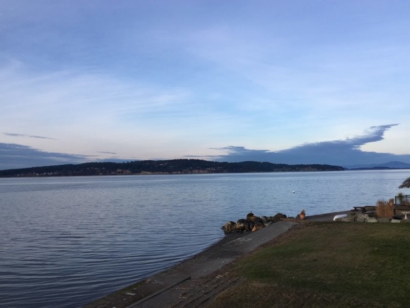 Click to View Larger