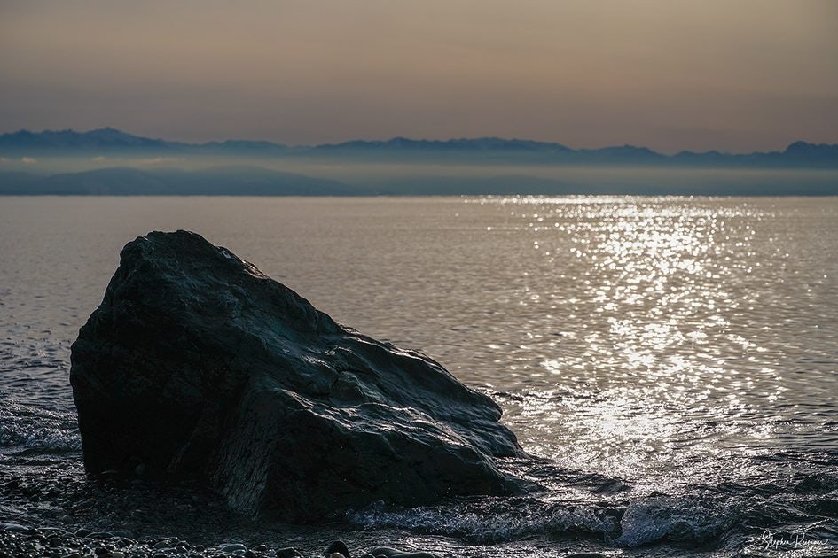 Click to View Larger