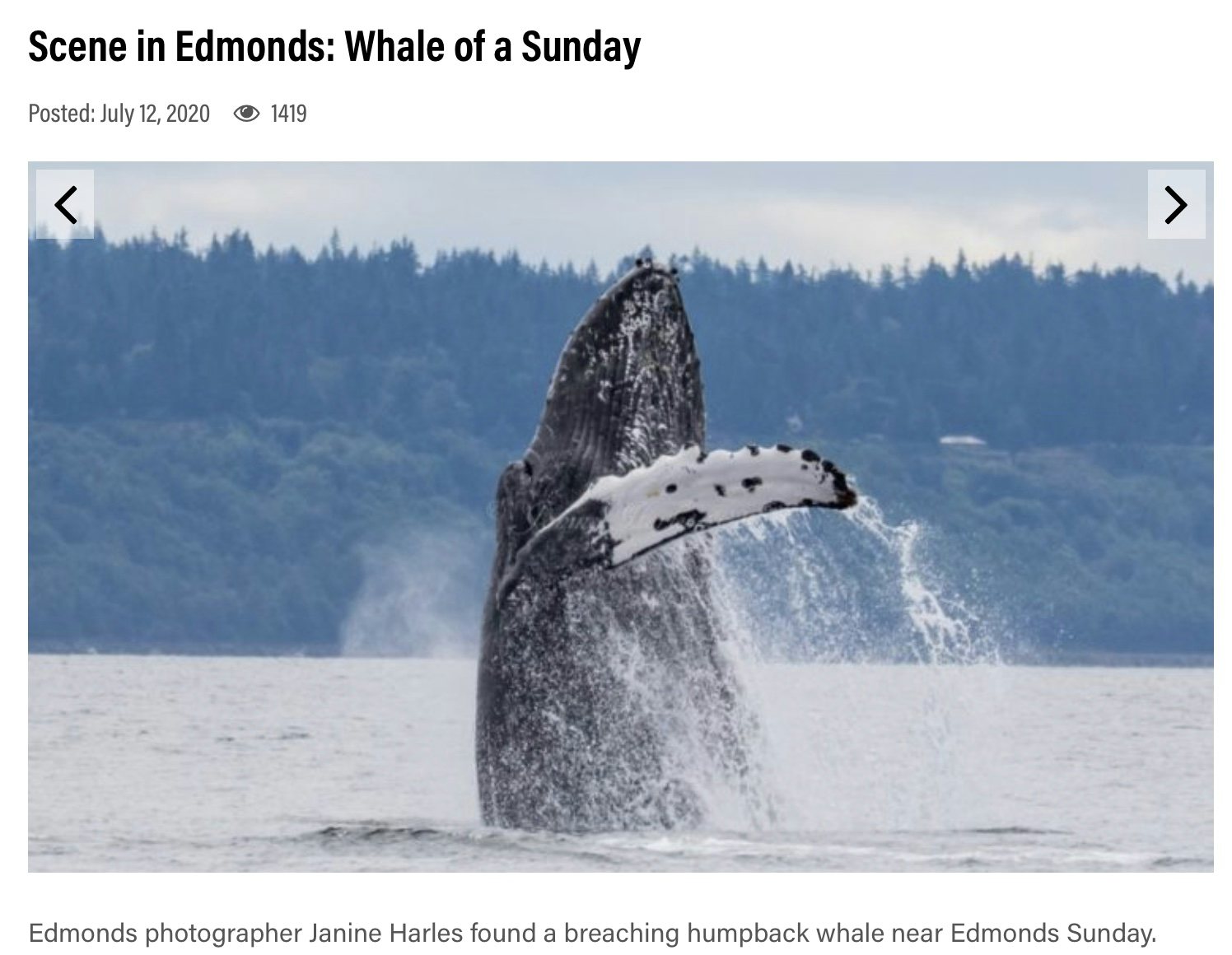 Click to View Larger