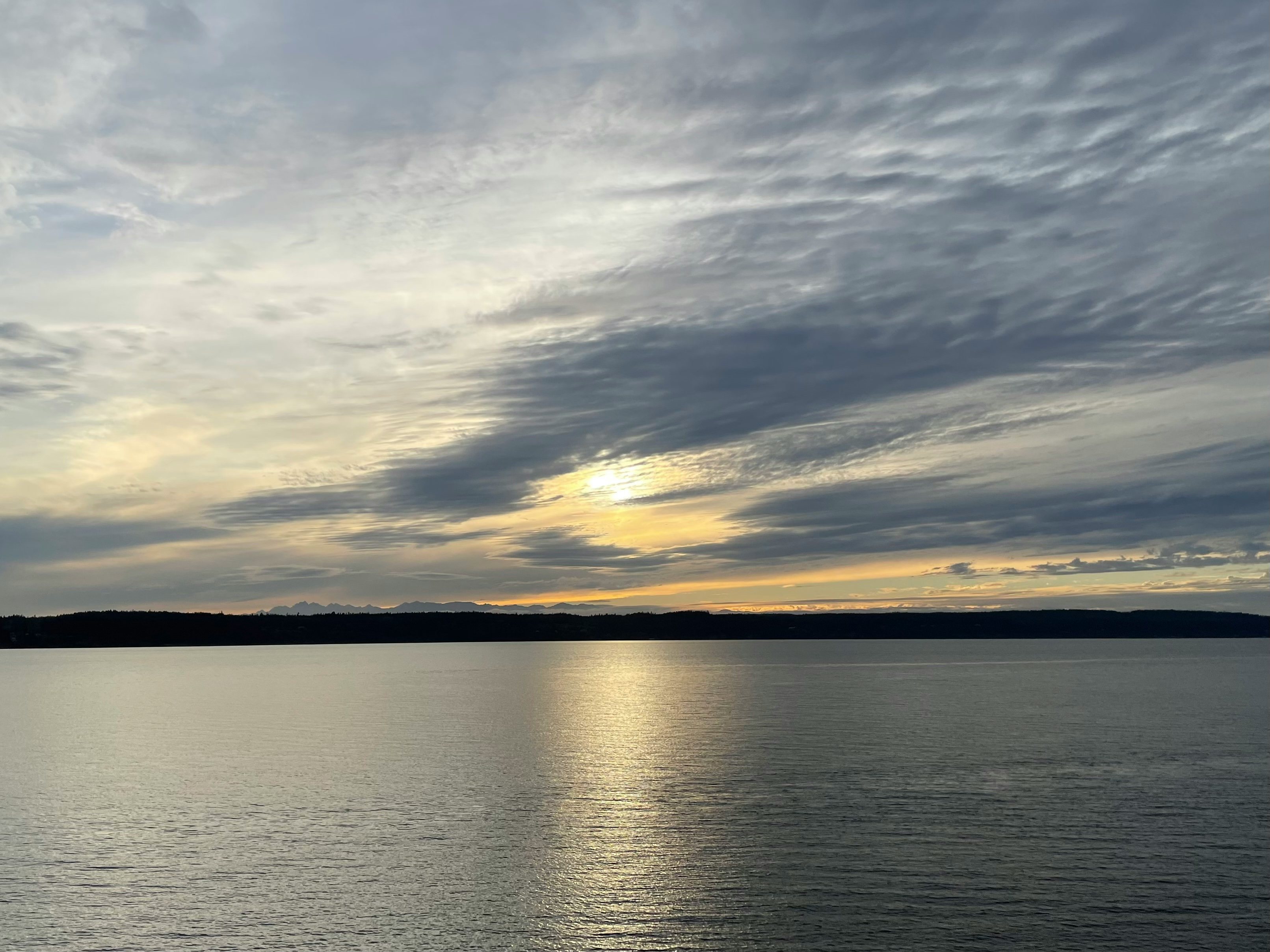 Click to View Larger