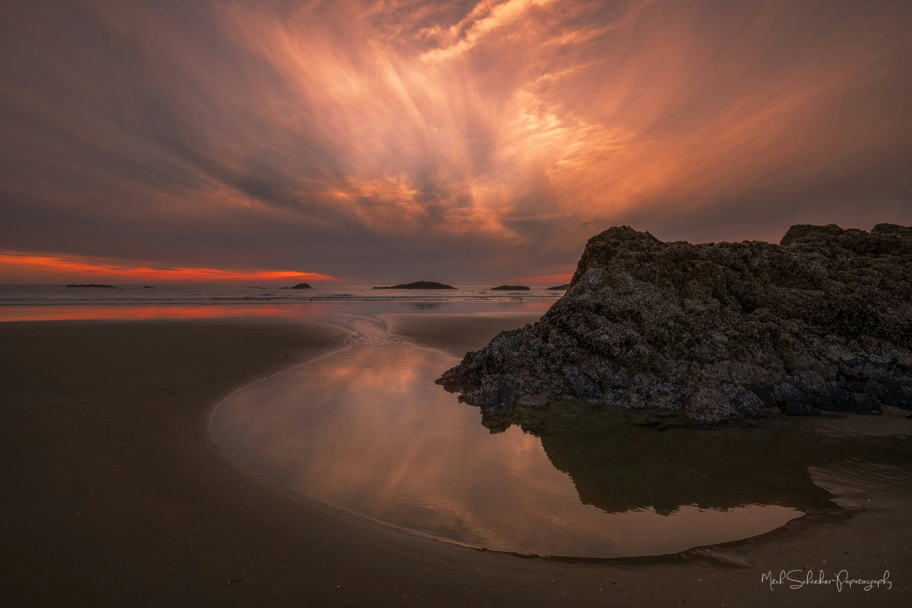 Click to View Larger