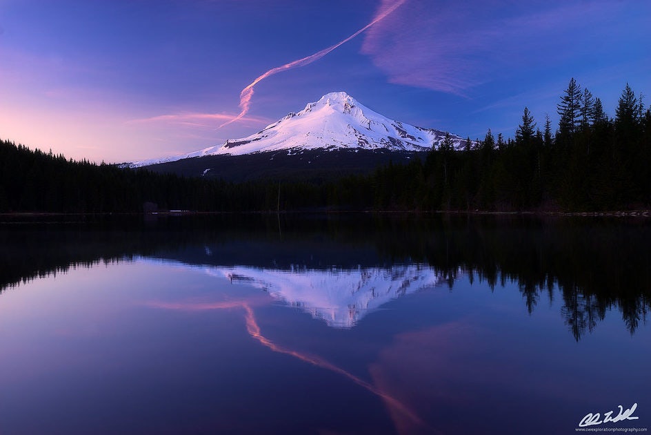 Click to View Larger