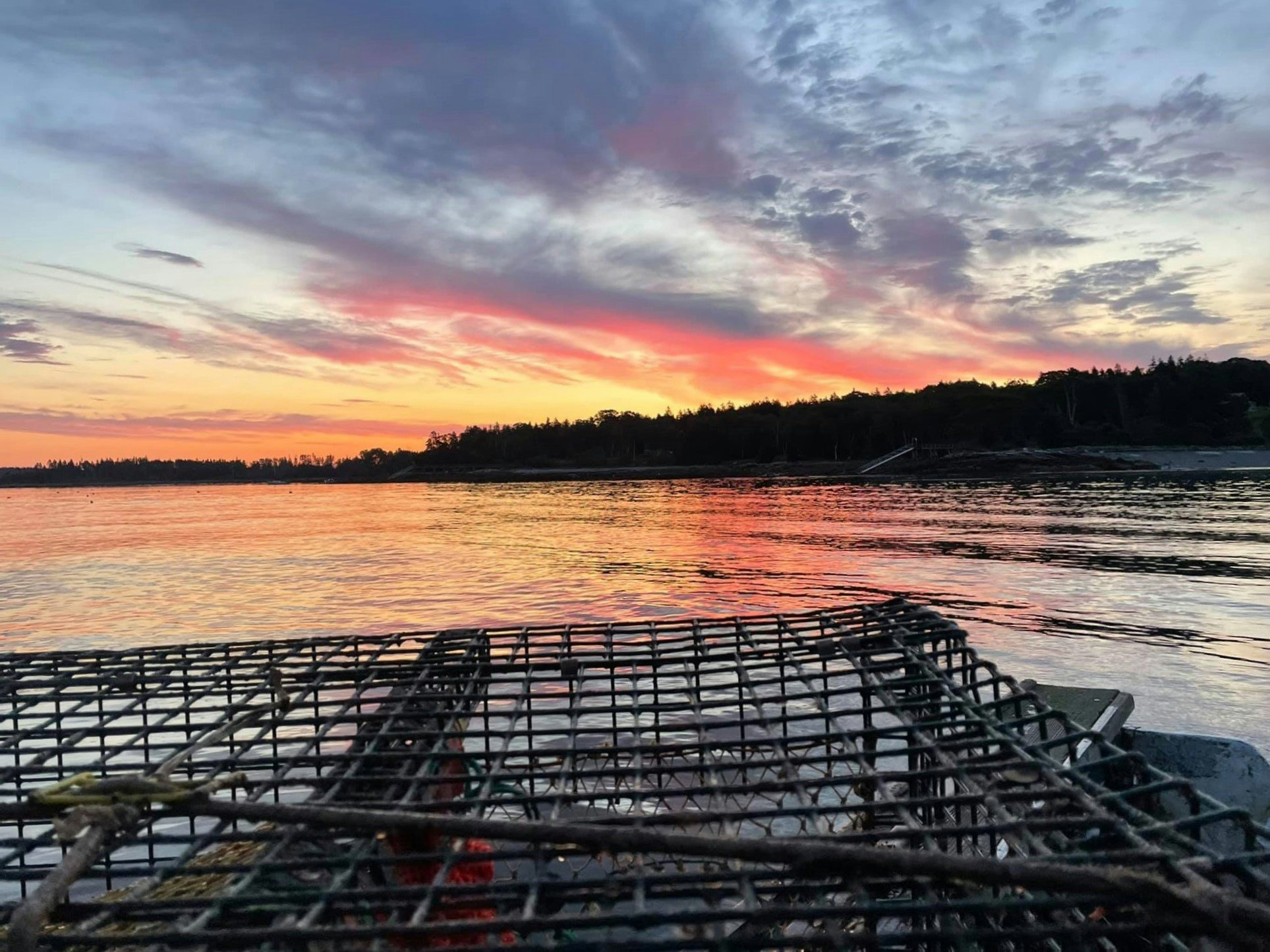 Click to View Larger