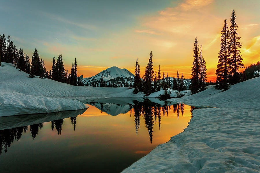 Click to View Larger