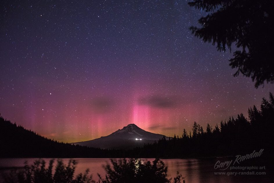 Click to View Larger