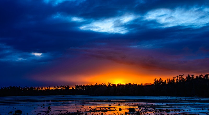 Click to View Larger