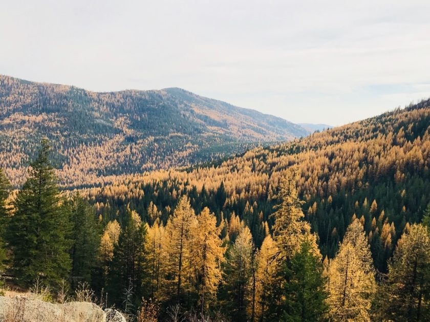 Click to View Larger